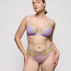 Ixia Wisteria String Ixia Wisteria String